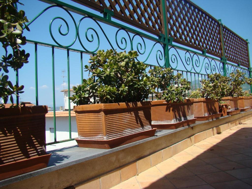 Sorrento Inn Guesthouse * Península Sorrentina